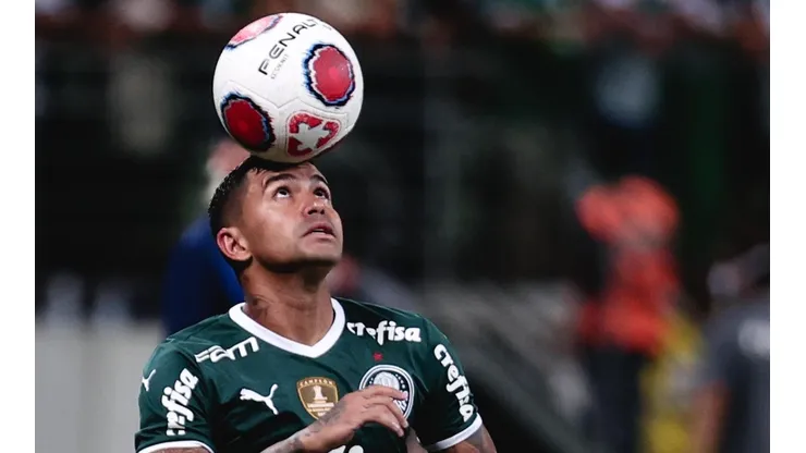 Dudu marcou o gol da vitória do Palmeiras sobre o Água Santa (Foto: Ettore Chiereguini/AGIF)