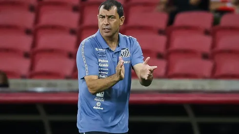 Santos faz proposta com gatilhos por jogador livre no mercado (Foto: Pedro H. Tesch/AGIF)