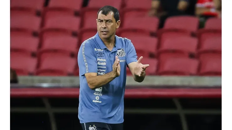 Santos faz proposta com gatilhos por jogador livre no mercado (Foto: Pedro H. Tesch/AGIF)
