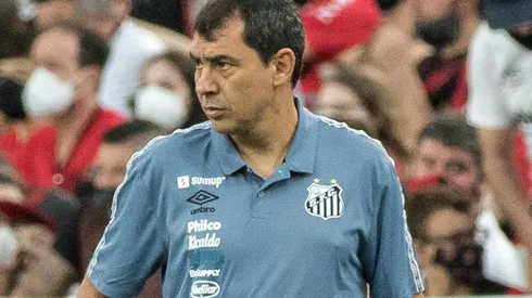 Fábio Carille, treinador do Santos (Foto: Robson Mafra/AGIF)