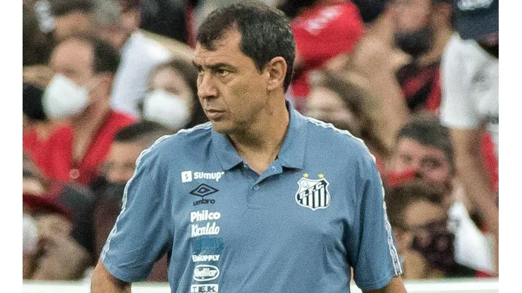 Fábio Carille, treinador do Santos (Foto: Robson Mafra/AGIF)