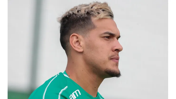 Gustavo Gómez, zagueiro do Palmeiras (Foto: Marcello Zambrana/AGIF)