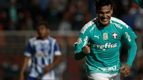 Palmeiras v CSA – Brasileirao Series A 2019
