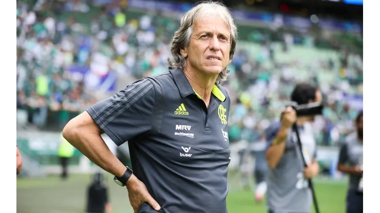 Palmeiras v Flamengo - Brasileirao Series A 2019