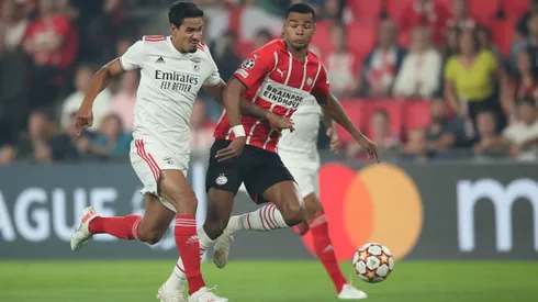 Lucas Verissimo jogador do Benfica.