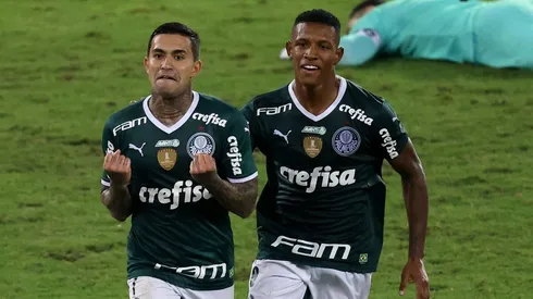 Botafogo v Palmeiras - Brasileirao 2022