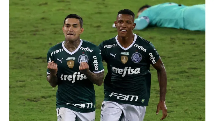 Botafogo v Palmeiras - Brasileirao 2022