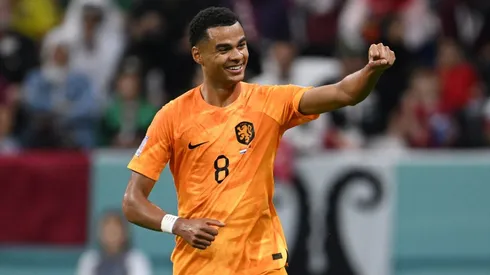 Netherlands v Qatar: Group A – FIFA World Cup Qatar 2022