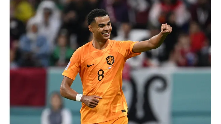 Netherlands v Qatar: Group A - FIFA World Cup Qatar 2022