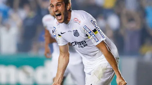 Santos v Palmeiras - Brasileirao Series A 2014