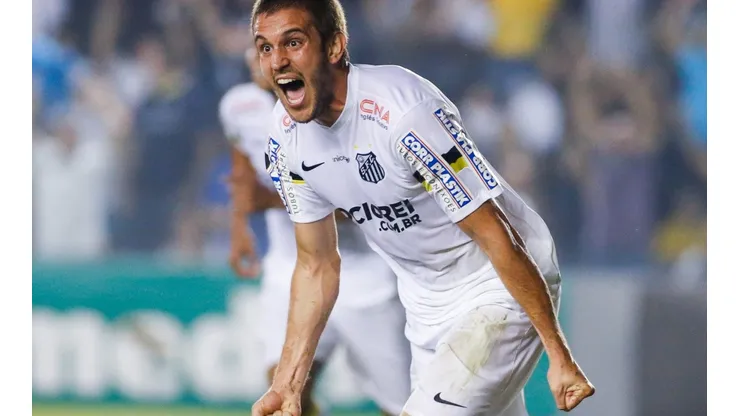 Santos v Palmeiras - Brasileirao Series A 2014