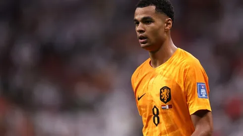 Cody Gakpo está na mira do Manchester United, da Inglaterra