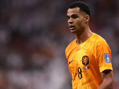 Gakpo, destaque da Holanda na Copa do Mundo, está na mira de gigante europeu