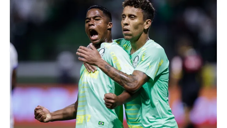 Palmeiras v Avai - Brasileirao 2022