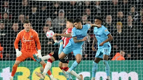 Southampton v Newcastle United - Premier League