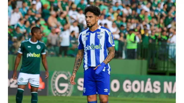 Avaí contratou ex-Flamengo para ser parceiro de Paolo Guerrero no ataque