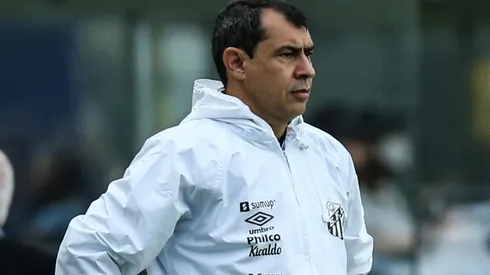 Fábio Carille, treinador do Santos (Foto: Getty Images)