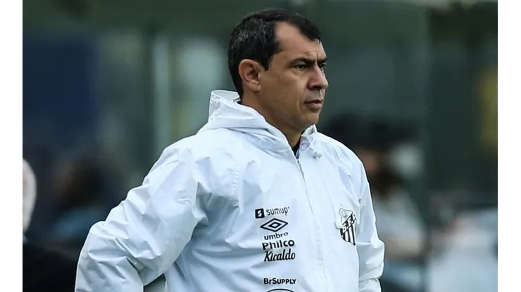 Fábio Carille, treinador do Santos (Foto: Getty Images)