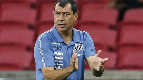Fábio Carille, treinador do Santos (Foto: Pedro H. Tesch/AGIF)
