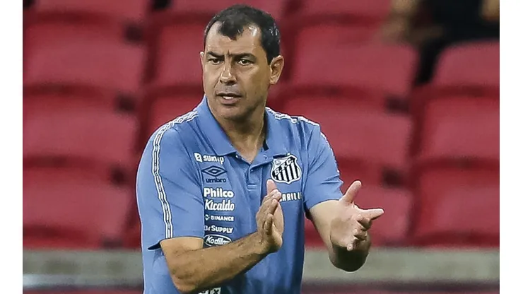 Fábio Carille, treinador do Santos (Foto: Pedro H. Tesch/AGIF)