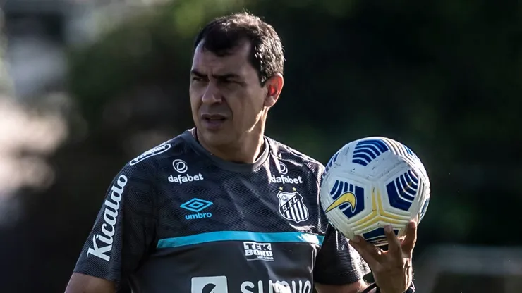Carille entrou na mira do Timão (Foto: Iavn Storti/Santos FC/Divulgação)