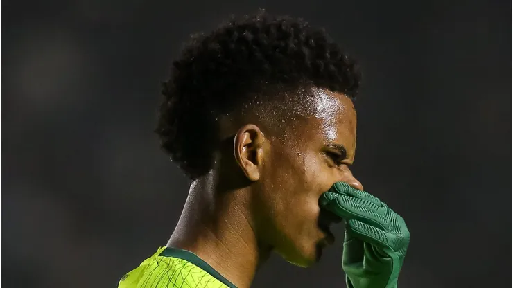 Estêvão, estrela em ascensão do Palmeiras, preocupa torcedores com uma possível transferência em 2025. (Foto: Pedro H. Tesch/Getty Images)