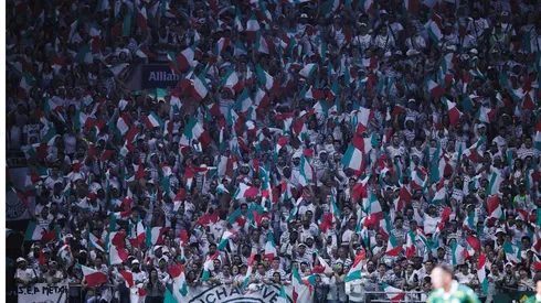 Torcida do Palmeiras em partida contra o Flamengo