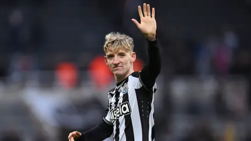 Anthony Gordon é alvo do Arsenal. Foto: Stu Forster/Getty Images