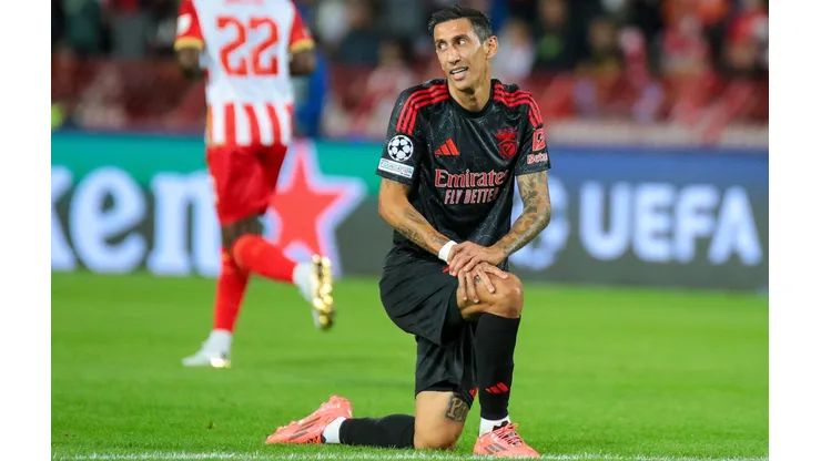 Di Maria em ação na partida entre Estrela Vermelha e Benfica na Liga dos Campeões, no dia 19 de setembro de 2024. (Dimitrije Vasiljevic / Alamy Stock Photo)