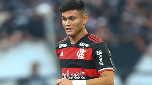 Alcaraz ainda busca seu melhor futebol no Flamengo (Foto: Gilvan de Souza / CRF / Divulgação)