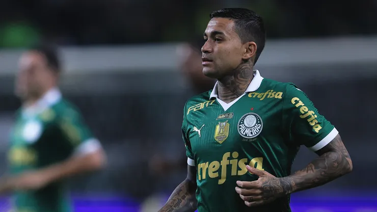 Dudu em partida pelo Palmeiras