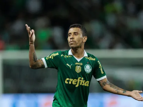 Palpite: Bahia x Palmeiras – Brasileirão – 20/11/2024