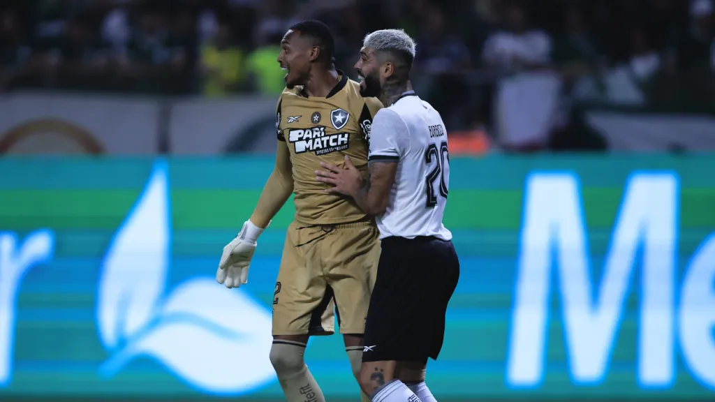 Goleiro John e zagueiro Alexander Barboza em partida do Botafogo (Foto: Ettore Chiereguini/AGIF)