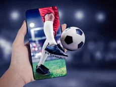 Favoritos do Campeonato Paulista 2026: Novorizontino e Palmeiras jogam a final