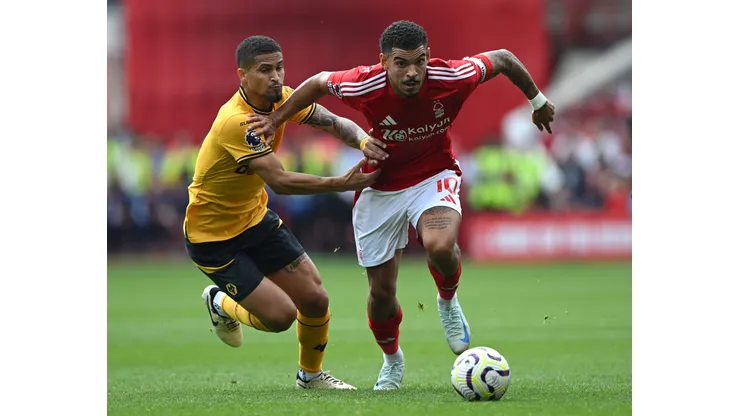 (Foto: Shaun Botterill/Getty Images)