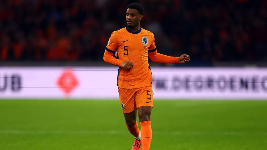 Hato em jogo da Seleção Holandesa. Foto: Dean Mouhtaropoulos/Getty Images