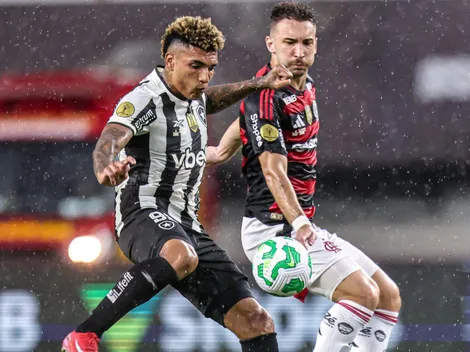 Palpite: Palpite Flamengo x Botafogo - Campeonato Carioca - 12/02/2025