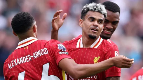 (Photo by Alex Livesey/Getty Images)