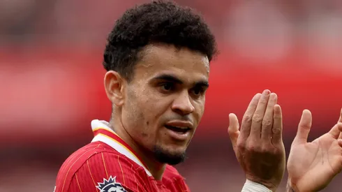 (Photo by Carl Recine/Getty Images)