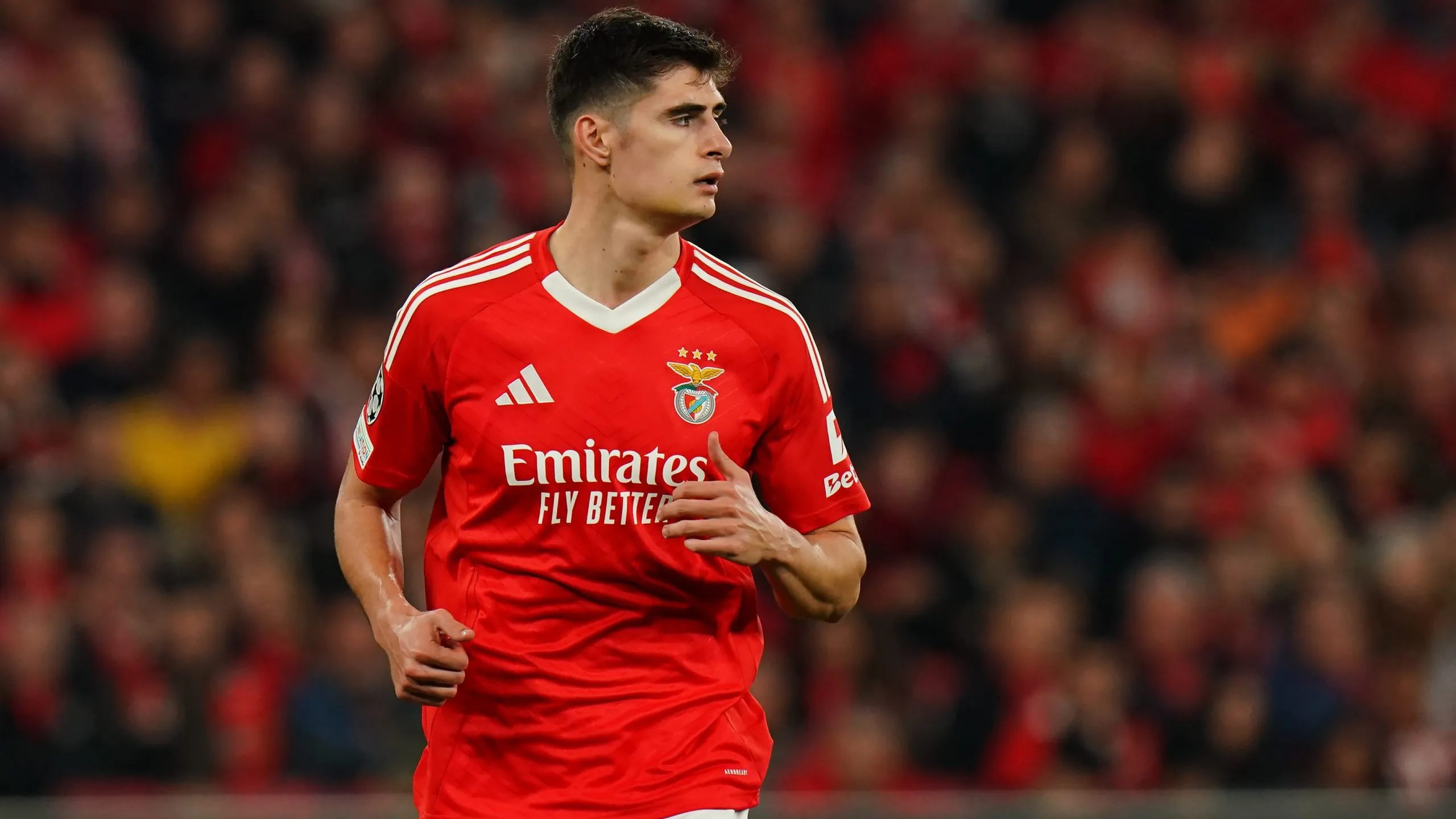 António Silva em jogo do Benfica. Foto: Gualter Fatia/Getty Images