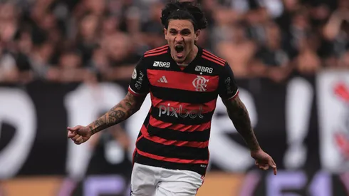 Pedro comemora gol com o Flamengo Foto: Ettore Chiereguini/AGIF