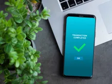 GingaBet app: como apostar pelo celular na casa