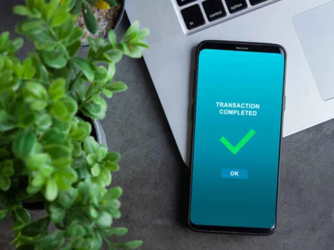 GingaBet app: como apostar pelo celular na casa