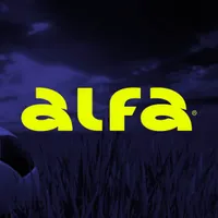 Alfabet Brasil: guia completo sobre a casa de apostas