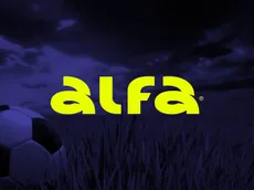 Alfabet Brasil: guia completo sobre a casa de apostas