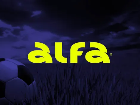 Alfabet Brasil: guia completo sobre a casa de apostas