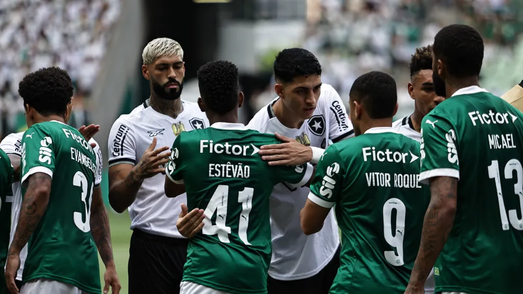 Jogadores de Palmeiras e Botafogo antes de partida pelo Brasileirão (foto: Fabio Giannelli/AGIF)