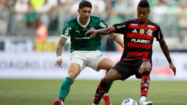 Palmeiras e Flamengo estão nas semifinais da Libertadores
