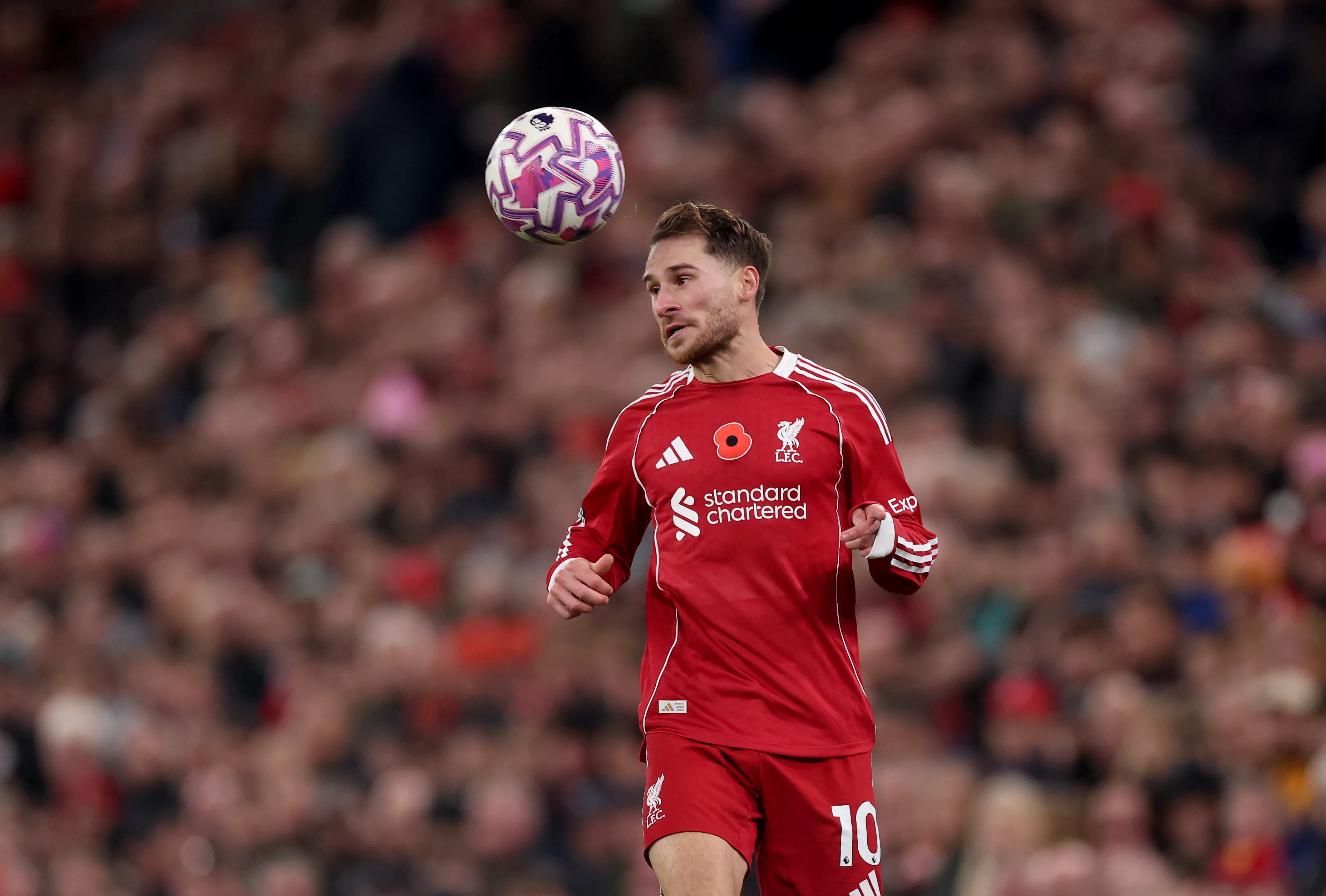 Mac Allister está na mira do Real Madrid. Foto: Carl Recine/Getty Images