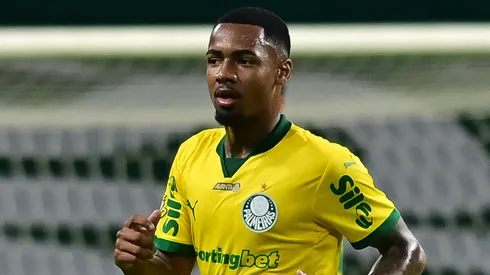 Allan em jogo do Palmeiras. (Foto: Jota Erre/AGIF)